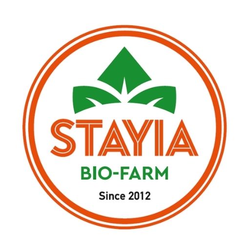 STAYIA-LOGO